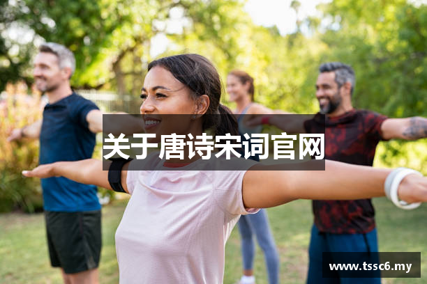 关于唐诗宋词官网